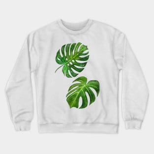 Monstera deliciosa tropical vibes watercolor painting handpainted illustration Crewneck Sweatshirt